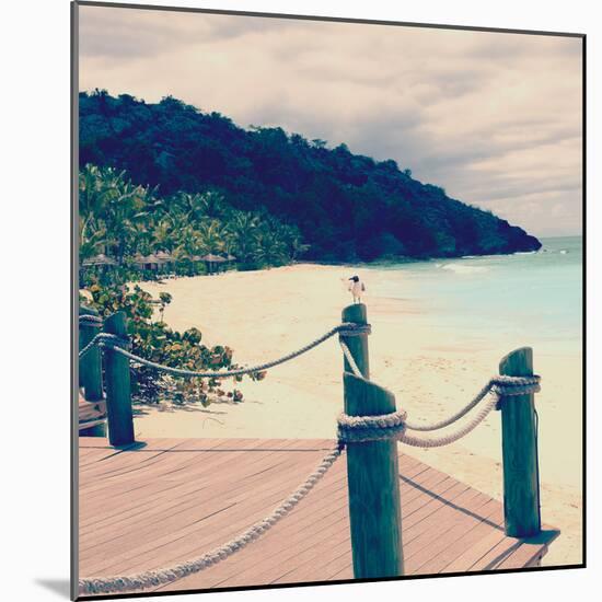 Island Vacation IV-Susan Bryant-Mounted Photographic Print