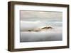 Island-Marcin Sobas-Framed Photographic Print