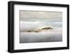 Island-Marcin Sobas-Framed Photographic Print