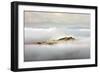 Island-Marcin Sobas-Framed Photographic Print