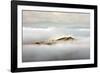 Island-Marcin Sobas-Framed Photographic Print