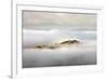 Island-Marcin Sobas-Framed Photographic Print