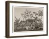 Islanders of Reunion or Bourbon Island-null-Framed Art Print