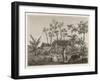 Islanders of Reunion or Bourbon Island-null-Framed Art Print