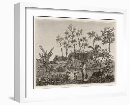 Islanders of Reunion or Bourbon Island-null-Framed Art Print