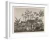 Islanders of Reunion or Bourbon Island-null-Framed Art Print