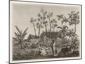 Islanders of Reunion or Bourbon Island-null-Mounted Art Print