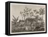 Islanders of Reunion or Bourbon Island-null-Framed Stretched Canvas