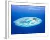 Islands Aerial View, Beautiful Blue Sea around Maldives Islands, Beauty of Nature, Exotic Tourism,-Anna Omelchenko-Framed Photographic Print