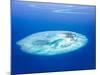 Islands Aerial View, Beautiful Blue Sea around Maldives Islands, Beauty of Nature, Exotic Tourism,-Anna Omelchenko-Mounted Photographic Print