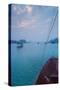 Islands and boat in the Pacific Ocean, Ha Long Bay, Quang Ninh Province, Vietnam-null-Stretched Canvas