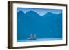 Islands and boat in the Pacific Ocean, Ha Long Bay, Quang Ninh Province, Vietnam-null-Framed Photographic Print