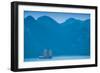 Islands and boat in the Pacific Ocean, Ha Long Bay, Quang Ninh Province, Vietnam-null-Framed Photographic Print