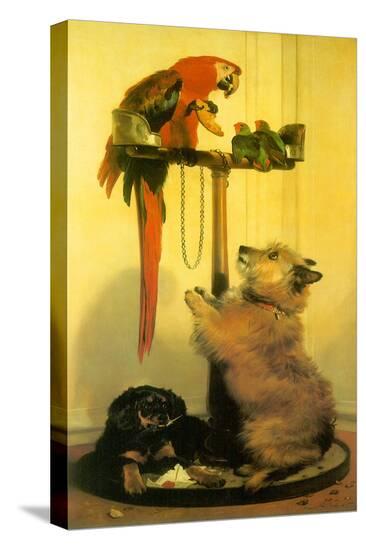 Stretched Canvas Print, , large