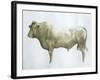 Islay Bull, 2004-Lincoln Seligman-Framed Giclee Print