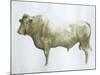 Islay Bull, 2004-Lincoln Seligman-Mounted Giclee Print