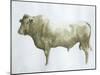 Islay Bull, 2004-Lincoln Seligman-Mounted Giclee Print