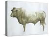 Islay Bull, 2004-Lincoln Seligman-Stretched Canvas