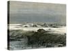 Islay Peru 1869-null-Stretched Canvas