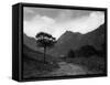 Isle of Arran-Fred Musto-Framed Stretched Canvas