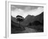 Isle of Arran-Fred Musto-Framed Photographic Print