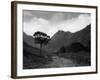 Isle of Arran-Fred Musto-Framed Photographic Print