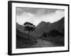 Isle of Arran-Fred Musto-Framed Photographic Print