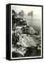 Isle of Capri-null-Framed Stretched Canvas