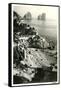 Isle of Capri-null-Framed Stretched Canvas