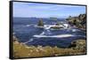 Isle of Fethaland, frothy sea, stacks, cliffs, Isle of Gruney, Scotland-Eleanor Scriven-Framed Stretched Canvas