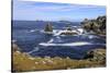 Isle of Fethaland, frothy sea, stacks, cliffs, Isle of Gruney, Scotland-Eleanor Scriven-Stretched Canvas