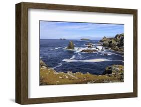 Isle of Fethaland, frothy sea, stacks, cliffs, Isle of Gruney, Scotland-Eleanor Scriven-Framed Photographic Print