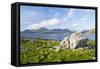 Isle of Harris, the Coast Near Luskentyre. Scotland in July-Martin Zwick-Framed Stretched Canvas