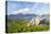 Isle of Harris, the Coast Near Luskentyre. Scotland in July-Martin Zwick-Stretched Canvas