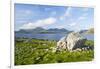 Isle of Harris, the Coast Near Luskentyre. Scotland in July-Martin Zwick-Framed Premium Photographic Print