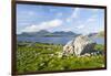 Isle of Harris, the Coast Near Luskentyre. Scotland in July-Martin Zwick-Framed Premium Photographic Print