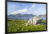 Isle of Harris, the Coast Near Luskentyre. Scotland in July-Martin Zwick-Framed Premium Photographic Print