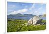 Isle of Harris, the Coast Near Luskentyre. Scotland in July-Martin Zwick-Framed Photographic Print