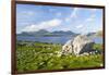 Isle of Harris, the Coast Near Luskentyre. Scotland in July-Martin Zwick-Framed Photographic Print