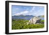 Isle of Harris, the Coast Near Luskentyre. Scotland in July-Martin Zwick-Framed Photographic Print