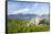 Isle of Harris, the Coast Near Luskentyre. Scotland in July-Martin Zwick-Framed Stretched Canvas