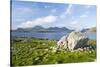 Isle of Harris, the Coast Near Luskentyre. Scotland in July-Martin Zwick-Stretched Canvas