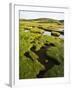 Isle of Harris, the Coastal Salt Marsh During Sunset. Scotland-Martin Zwick-Framed Photographic Print