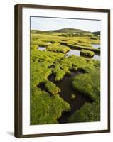 Isle of Harris, the Coastal Salt Marsh During Sunset. Scotland-Martin Zwick-Framed Photographic Print