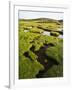 Isle of Harris, the Coastal Salt Marsh During Sunset. Scotland-Martin Zwick-Framed Photographic Print