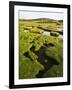 Isle of Harris, the Coastal Salt Marsh During Sunset. Scotland-Martin Zwick-Framed Photographic Print