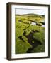 Isle of Harris, the Coastal Salt Marsh During Sunset. Scotland-Martin Zwick-Framed Photographic Print