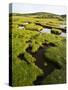 Isle of Harris, the Coastal Salt Marsh During Sunset. Scotland-Martin Zwick-Stretched Canvas