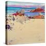 Isle of Iona-Peter Graham-Stretched Canvas