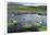 Isle of Lewis, European White Water Lily in Pond. Scotland-Martin Zwick-Framed Photographic Print